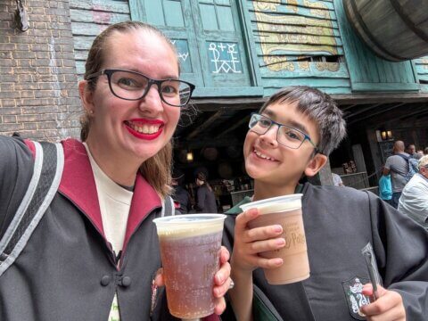 Universal Studios vs Disney World: The Ultimate Family Vacation Showdown