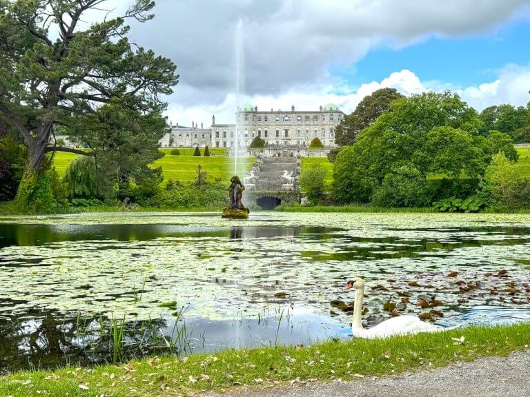 Find out the top things to do in Wicklow, Ireland for families recommended by top family travel blog Marcie in Mommyland. Image of a swan in a pond at Powerscourt Garden