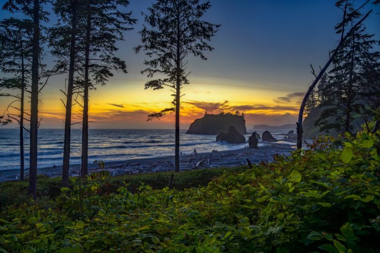 Find out where to stay at Olympic National Park with kids. Image of