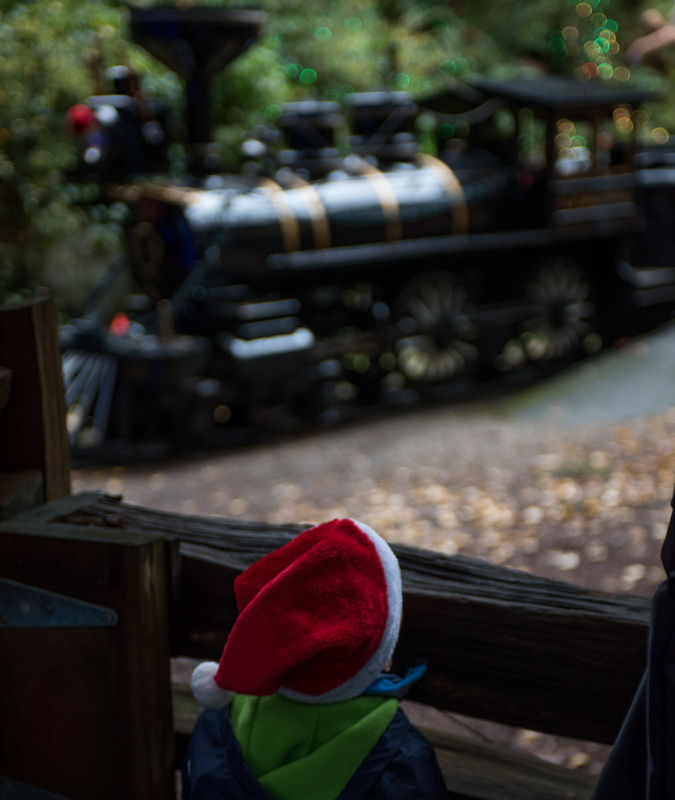 Stanely Park Miniature Train in Vancouver, BC