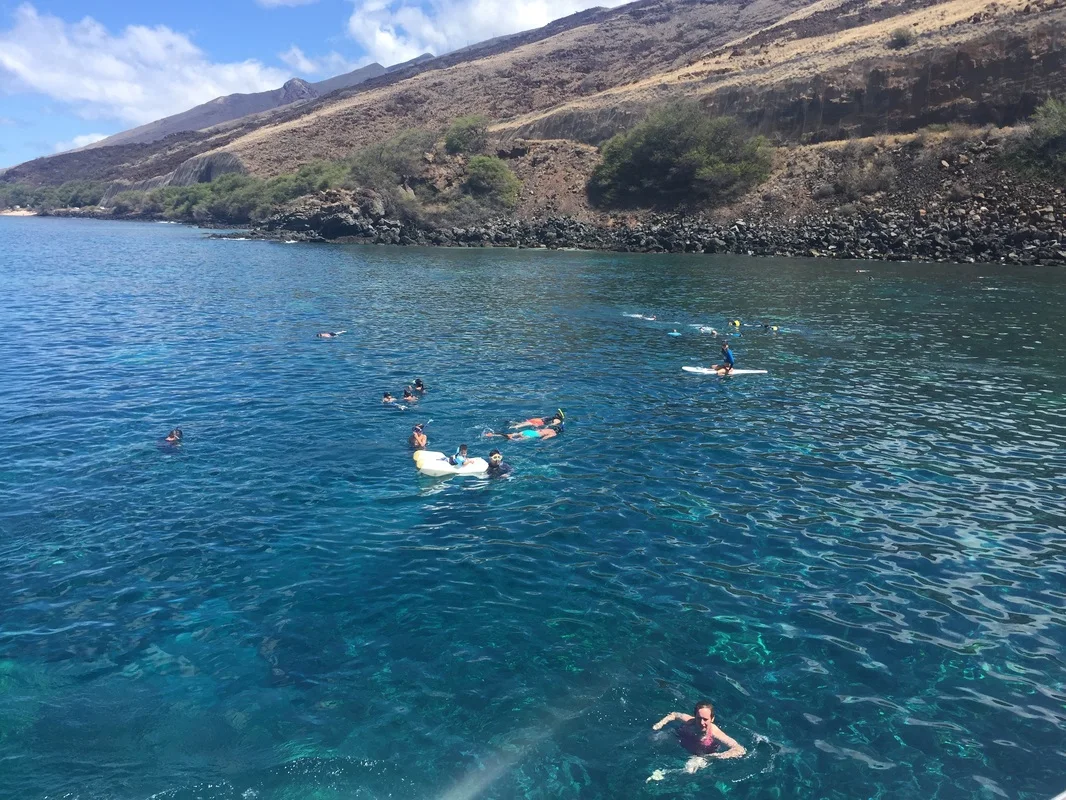 Coral Gardens Snorkeling on the Four Winds Maui