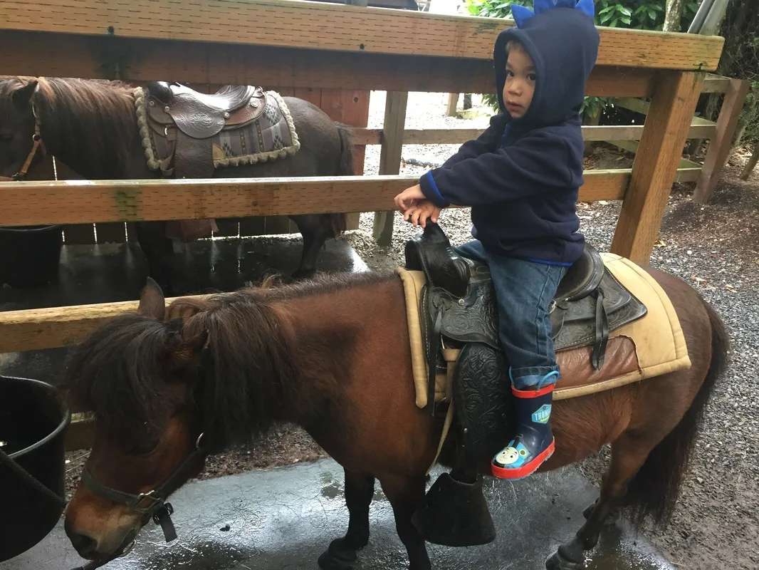 Pony Ride at Remlinger Farms in Carnation, WA