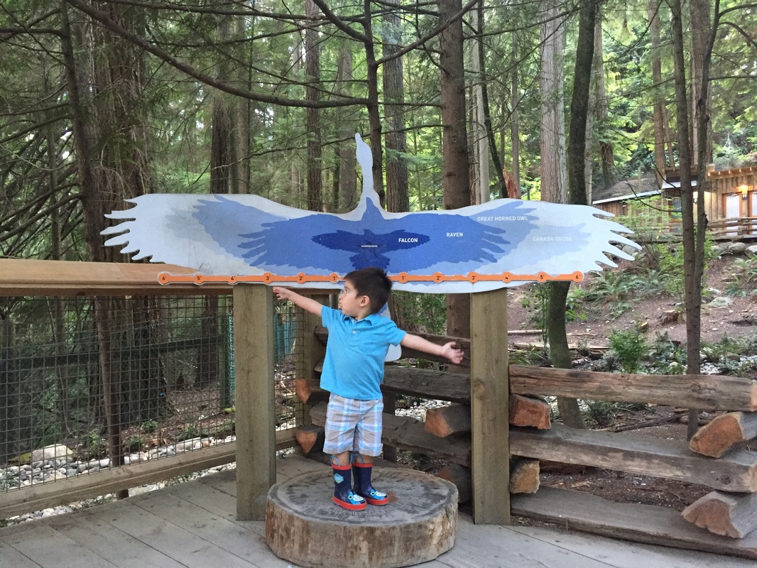 Braving Capilano Suspension Bridge in Vancouver, BC with a Toddler